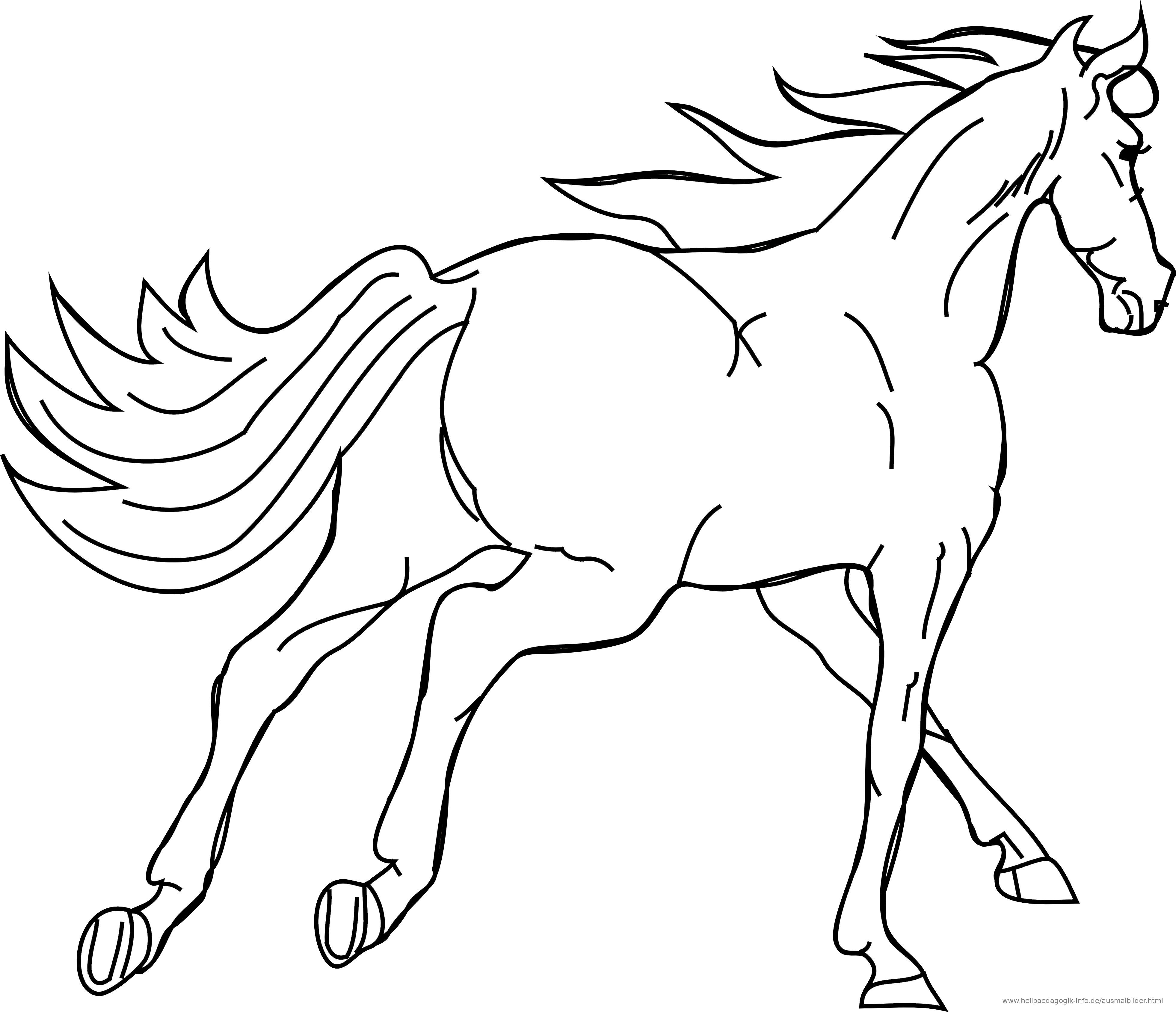 pferd malen vorlage 17 ⋆ Ausmalbilder Fur Euch - Malvorlagen